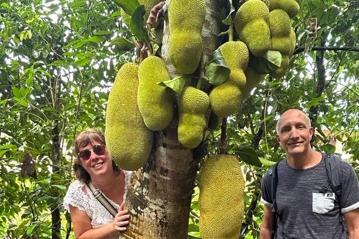 Spice Farm and Stonetown Private Walking Tour