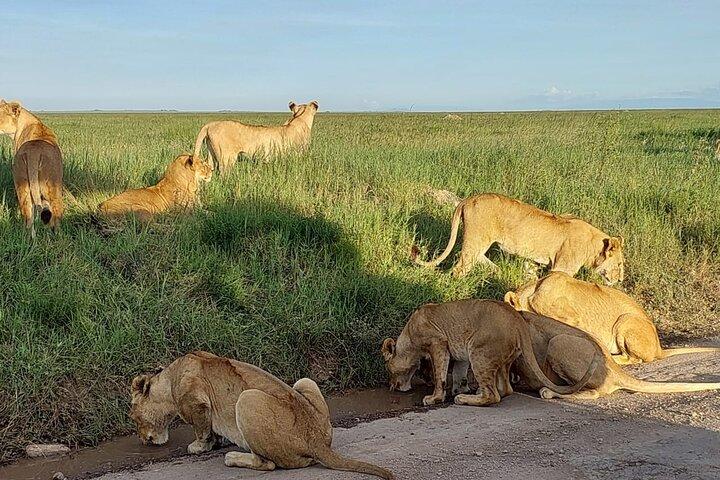 12 Days Sound of Kenya and Tanzania