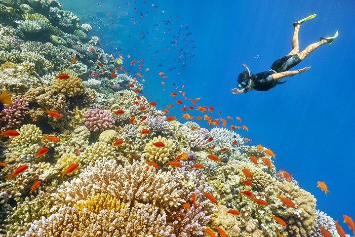 Overnight from Cairo to Hurghada Snorkeling and Luxor Tour