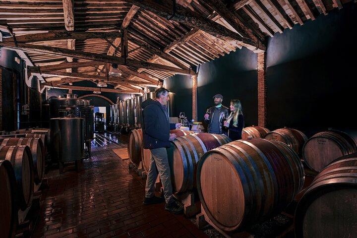 Exclusive Wine Tour and Tasting Experience in Siena