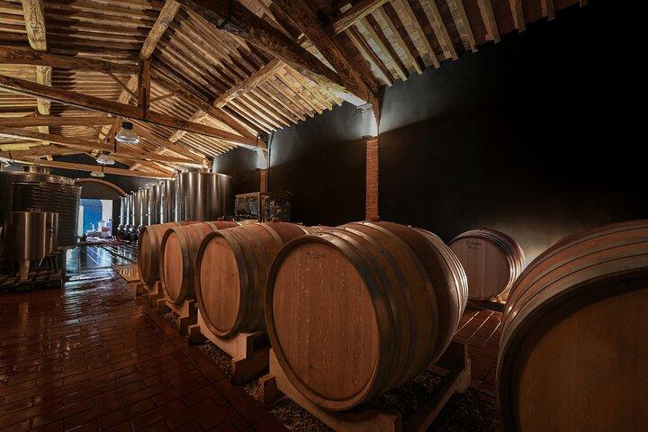 Guided Winery Tour and Wine Tasting in Siena