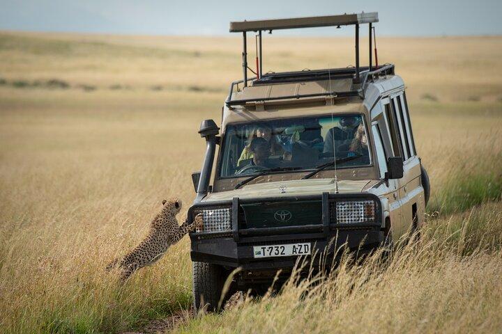 3-Day Private Camping Safari in Serengeti and Ngorongoro Crater
