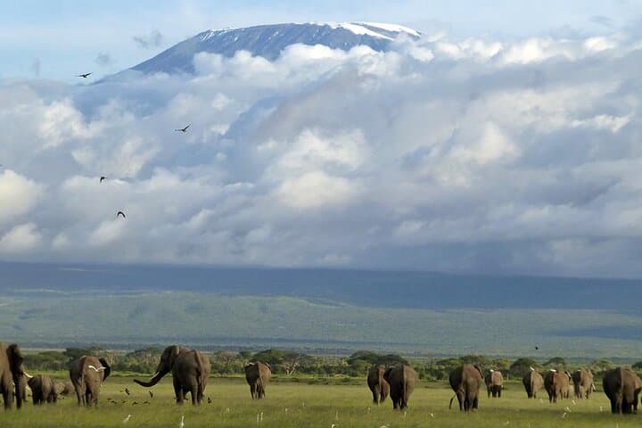 3 Days 2 Nights Joining Tour to Amboseli National Park