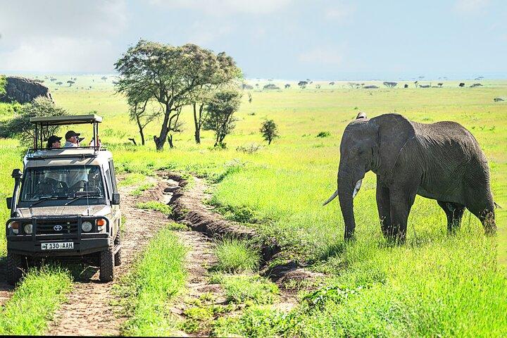7 Day Tanzania Camping Safari Experience