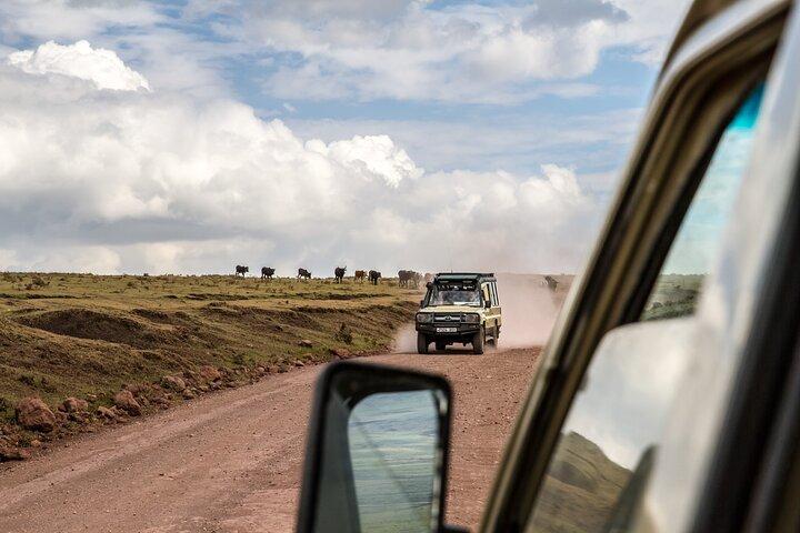 5 Days Tanzania Private Camping Safari Experience