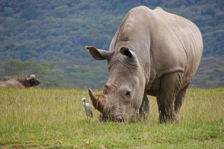 5 Days Tanzania Private Camping Safari Experience