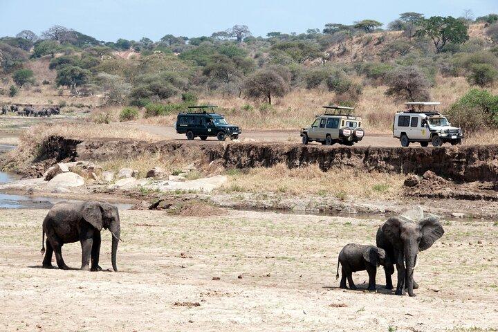 7 Day Tanzania Camping Safari Experience