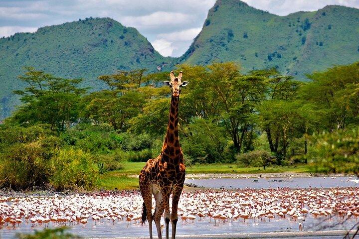 2 Days Prehistoric Tour in Elemantaita, Soysambu and Kariandusi