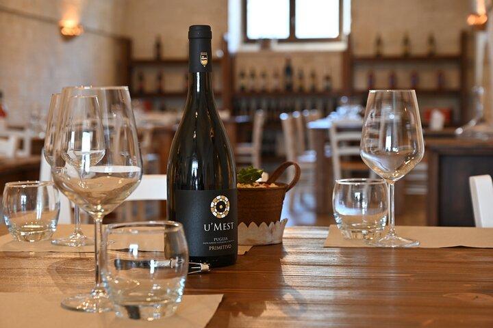Alberobello Winery: Wine & Food Pairing Experience