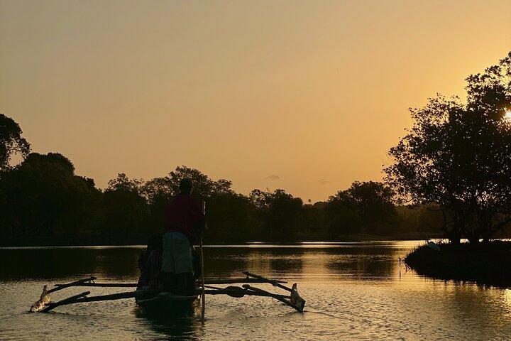 Sunset Canoe Tour on a River within the Mangroves