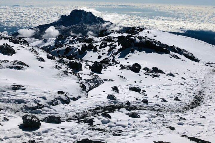 Kilimanjaro 8 days Lemosho Route