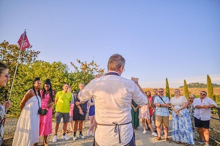 Semi-Private Chianti Wine Tour with Dinner in Tuscany Vineyard