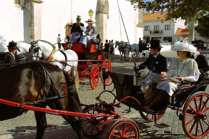 From Lisbon: Capital of Lusitanian Horses Private Half day Tour
