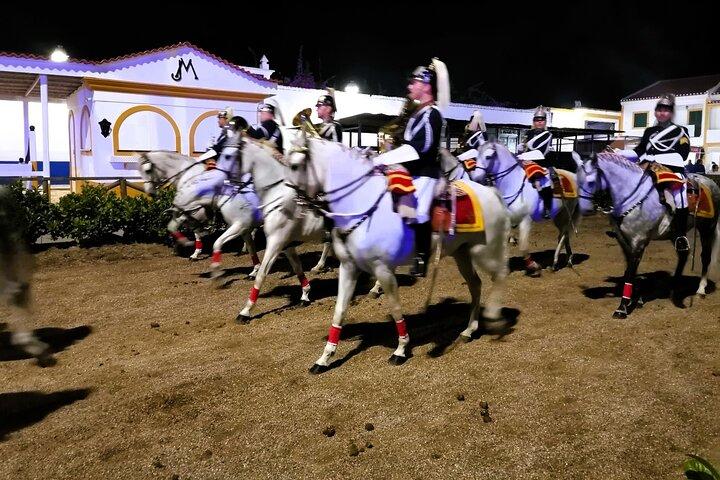 From Lisbon: Capital of Lusitanian Horses Private Half day Tour