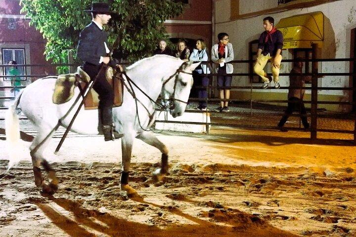 From Lisbon: Capital of Lusitanian Horses Private Half day Tour