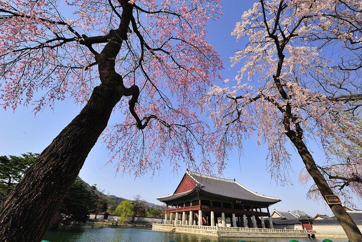 Seoul Private Tour Gyeongbok Palace Bukchon and Gwangjang Market