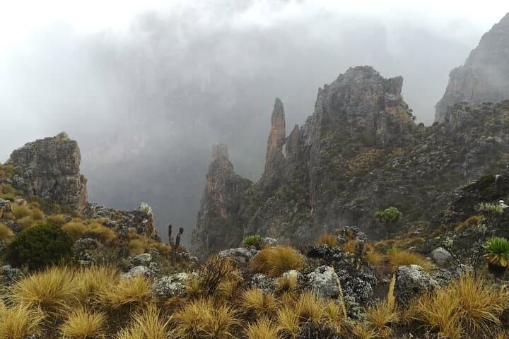 5 Days Mount Kenya Trek using Sirimon and Chogoria Routes