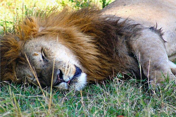 3 Days Safari to Samburu National Reserve from Nairobi