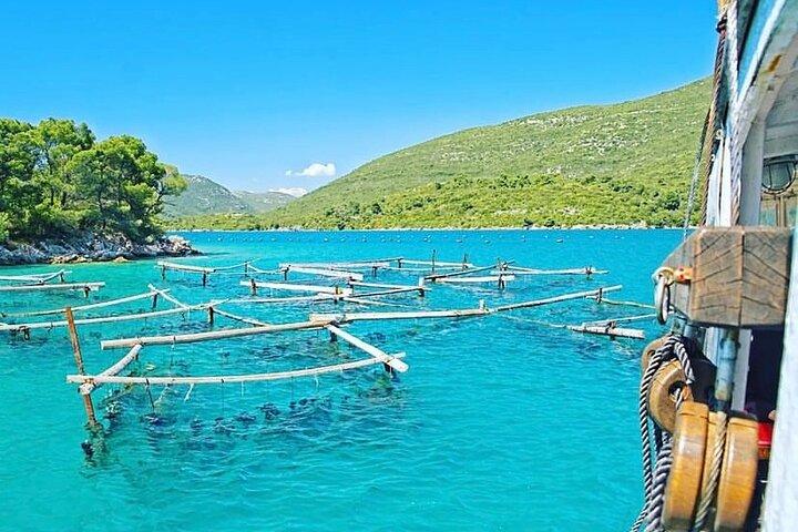 Boat ride, Oysters, Mussels & Wine: Oyster Farm Visit - Dubrovnik