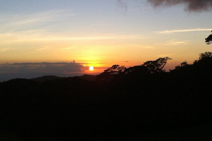 Monteverde Night Walk Tour
