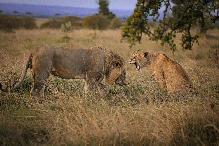 4 Day Tour in Tarangire, Serengeti and Ngorongoro