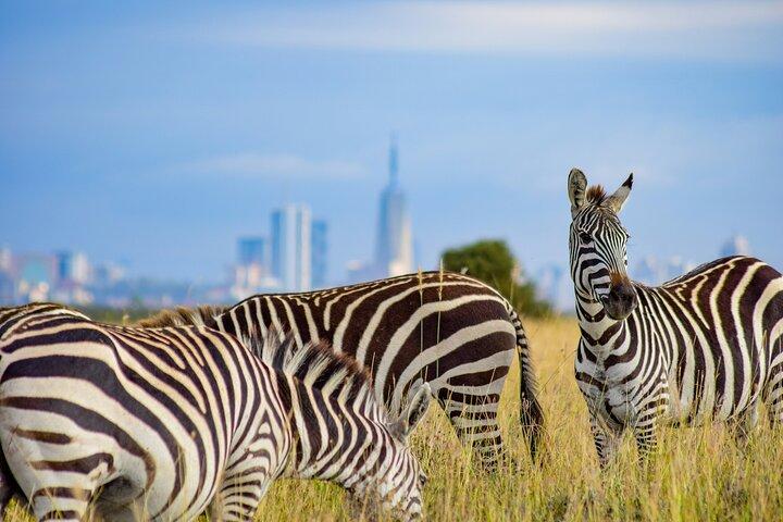 Afternoon Tour To Nairobi National Park