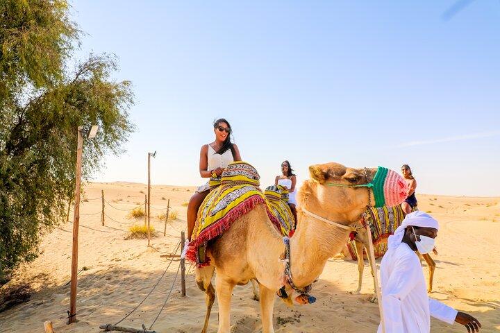 Dubai Sunset Camel Ride & BBQ Dinner at Al Khayma Camp