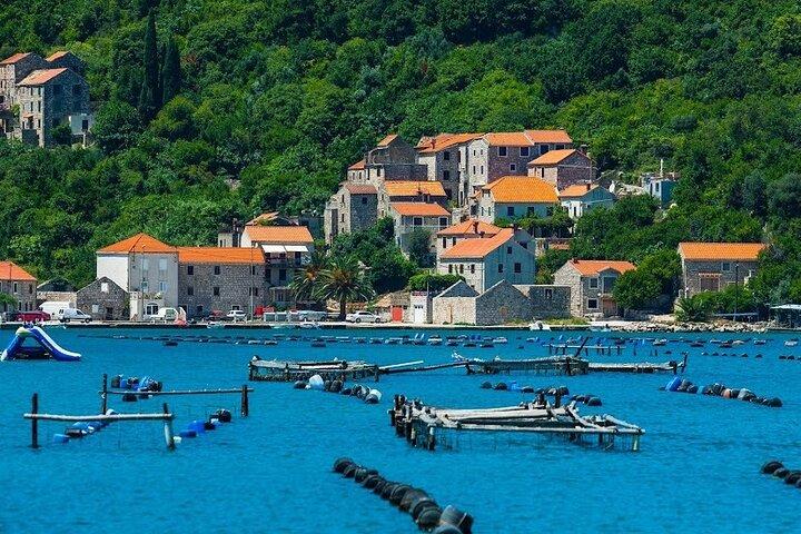 Boat ride, Oysters, Mussels & Wine: Oyster Farm Visit - Dubrovnik