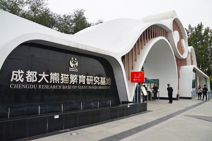 Chengdu Panda Breeding Base Ticket w/ Optional Transfer or Guide