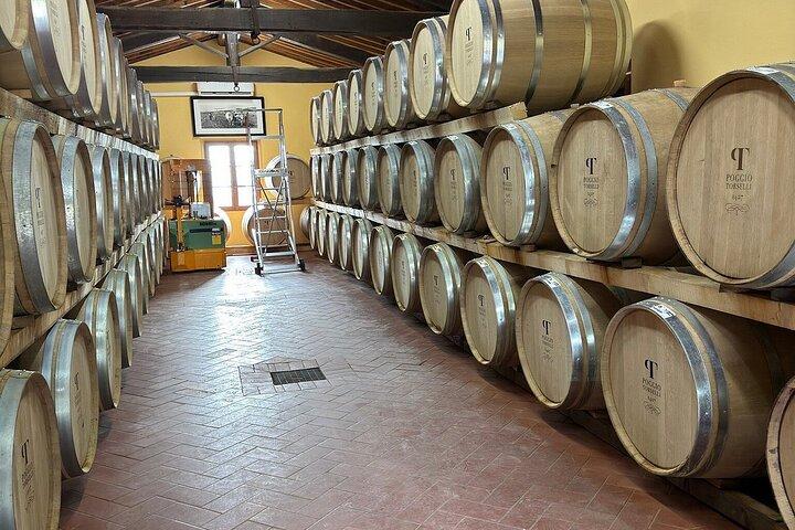 Chianti tour on road 222, and visits to Chianti wineries
