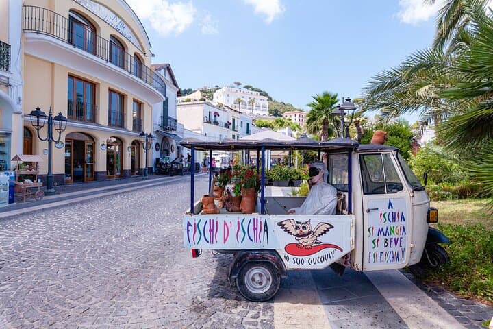 Exclusive Ischia Day Trip & Food Tasting with Top Guide and Driver from Naples