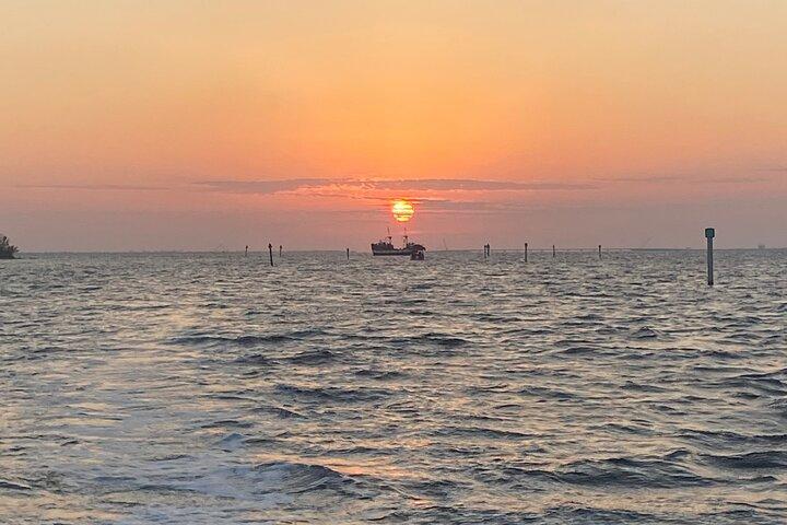 Sunset and Dolphin Cruise around Fort Myers Beach