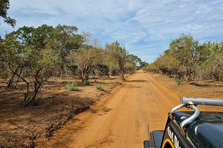 All inclusive Yala safari from Colombo Negombo Coast