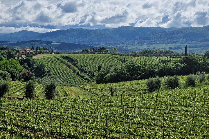Private Wine Tour Tuscany half day Limousine Service Florence