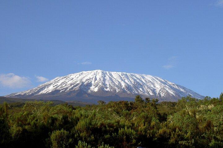 10 Days Mount Kilimanjaro Trek Using The Machame Route