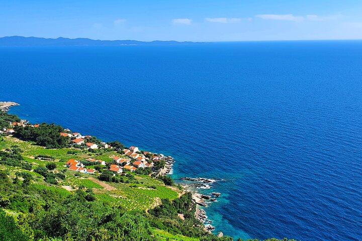 Private Peljesac Wine Tasting Tour from Dubrovnik