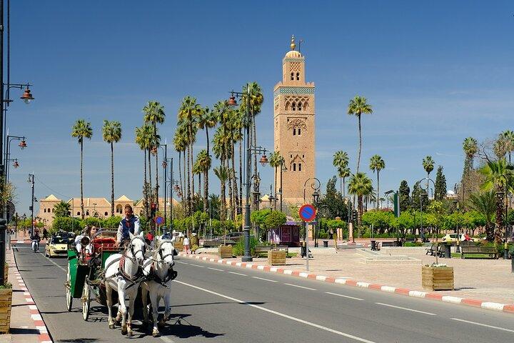 Half Day Marrakech City Tour Majorelle Garden Bahia Palace Souks