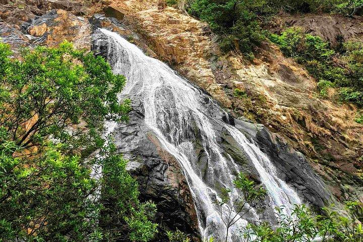 SIC Dudhsagar Waterfall and Spice Plantation Day Tour