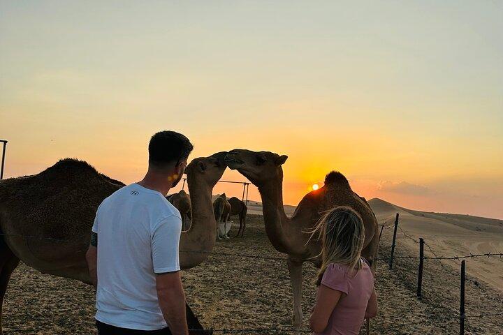 Abu Dhabi: Private Evening Desert Safari with BBQ and Live Shows