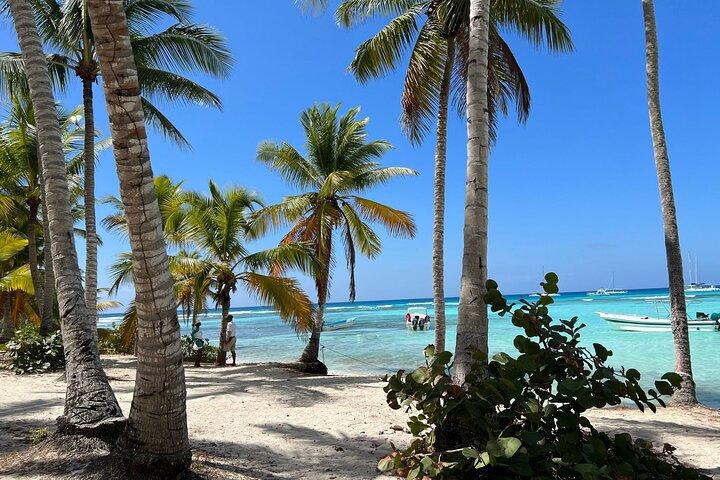 Saona Island and Chavon River Tour with Lunch and Drinks