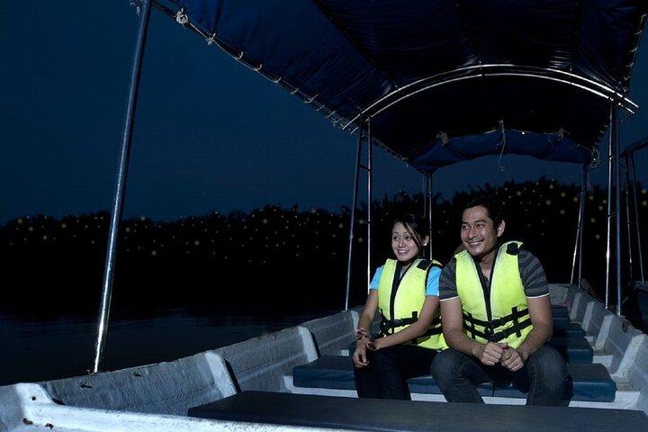 PrivateTour Kuala Selangor Firefly Blinkings & Silver Leaf Monkey