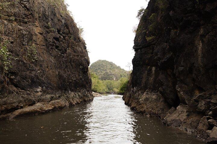 3 Hours Mangrove Boat Tour in Langkawi