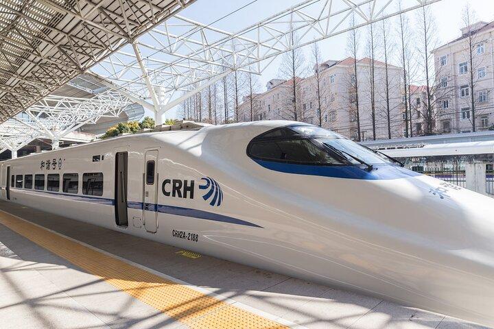 Private Arrival Transfer: Tianjin Cruise Port to Train Stations (Tianjin/Tanggu)
