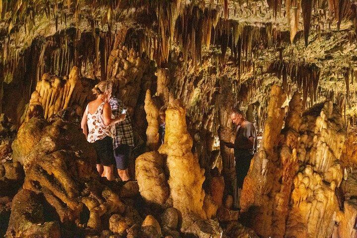 Kefalonia Grande Tour: Private Full day Exploration
