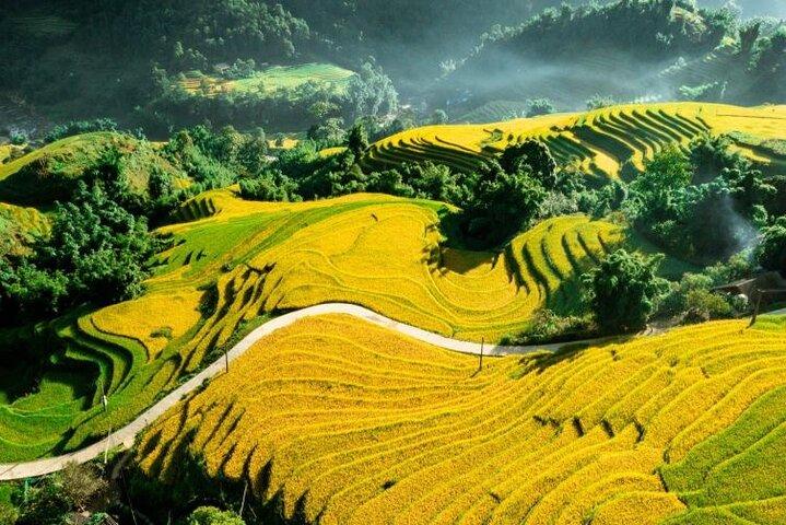 Terrace Fields and Local Villages Walking Tour from Sapa
