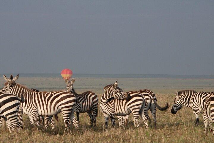3 Days and 2 Nights Private 4WD Safari Adventure in Masai Mara