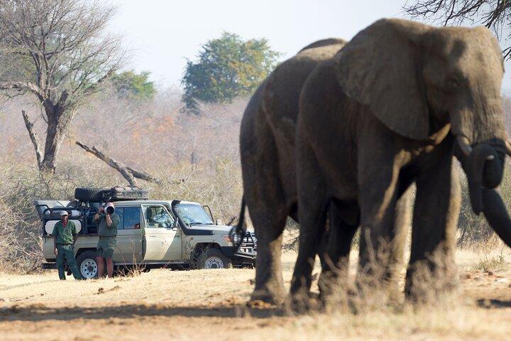 10 Day Great Migration Photographic Safari