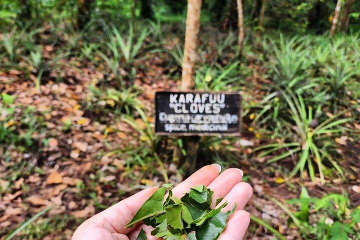 Zanzibar Cultural Cuisines Cooking Class & Spice Farm Tour