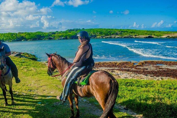 Punta Cana Horseback Ride: Jungle, Macao Beach & Free Pick Up