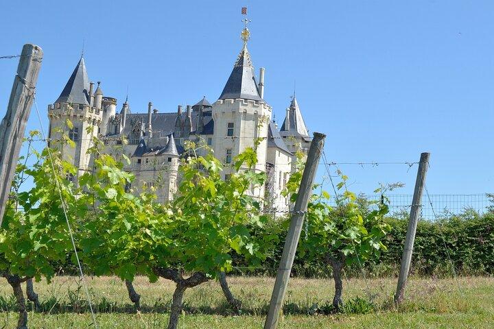 Loire Valley Wine Half Day Tour in Vouvray